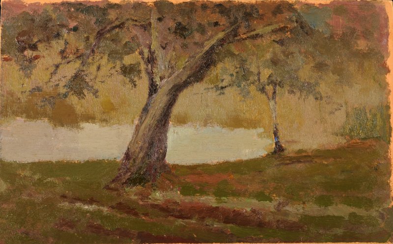 1906 - Laghetto di Sugano